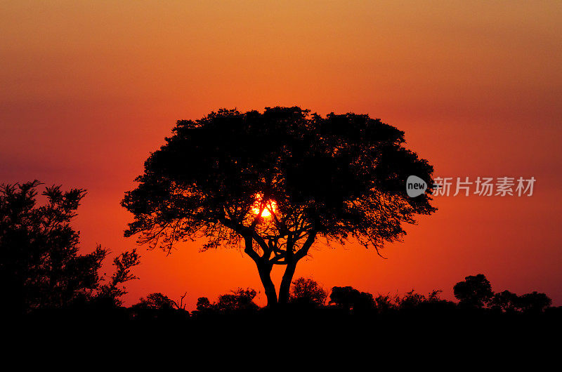 日落――南非