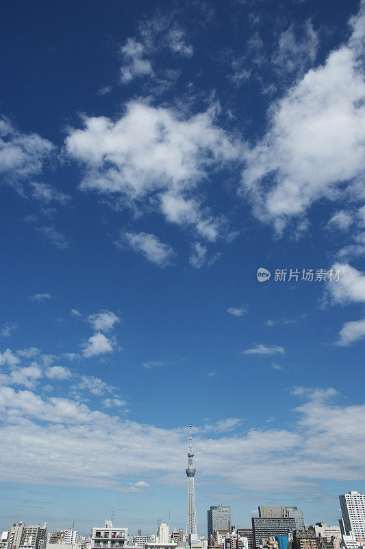 塔-东京天空树