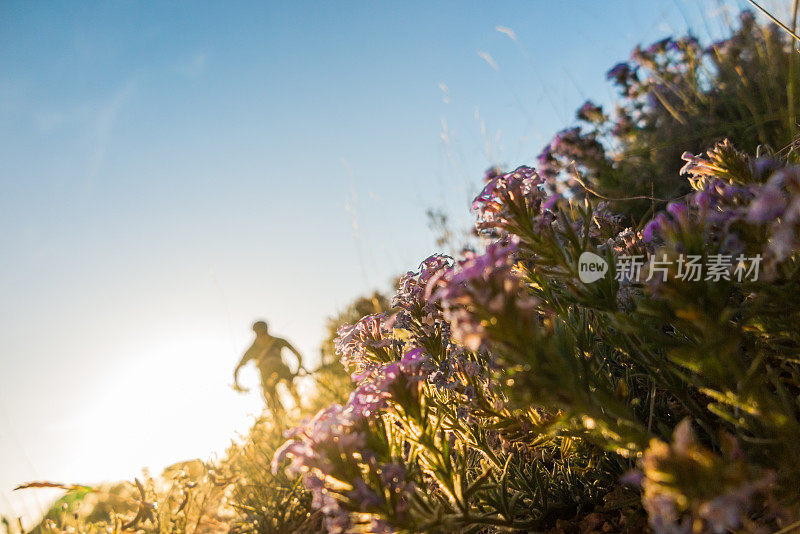 阳光花山地自行车