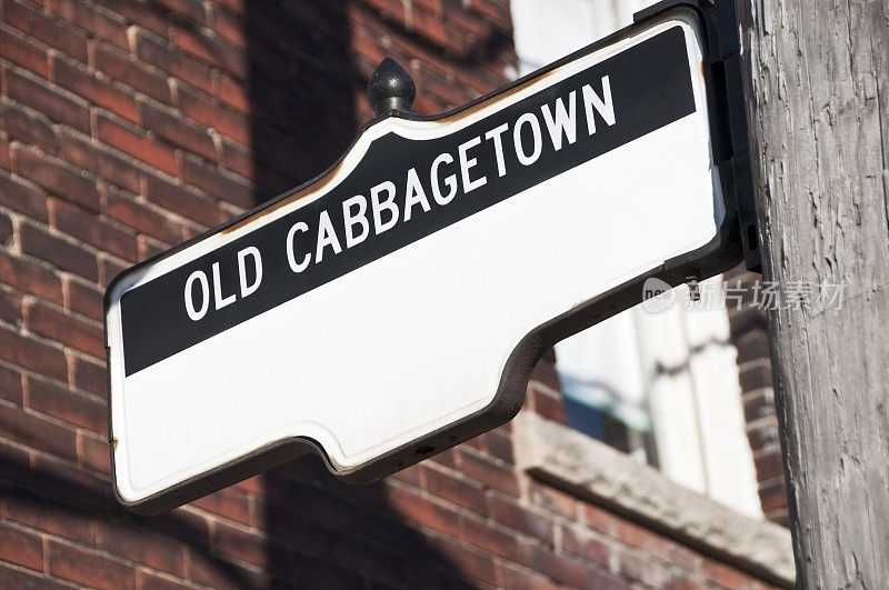 加拿大安大略省多伦多市老卷心菜镇的街道标志