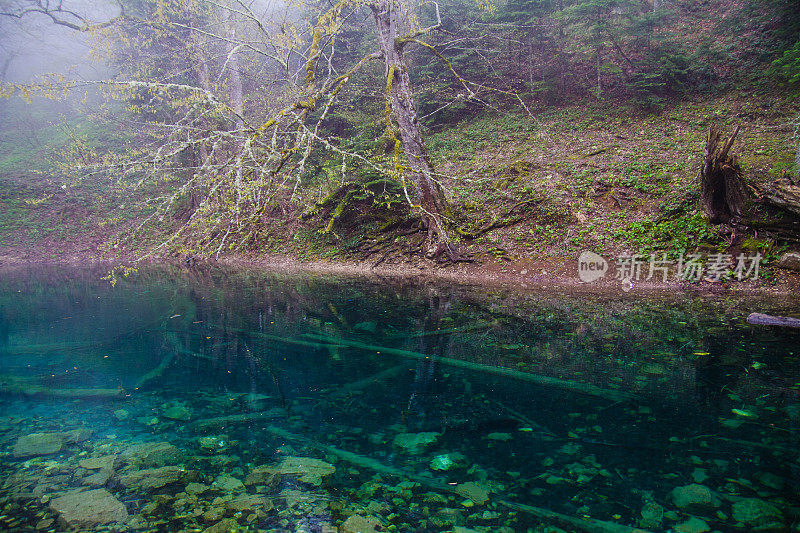 小森林湖