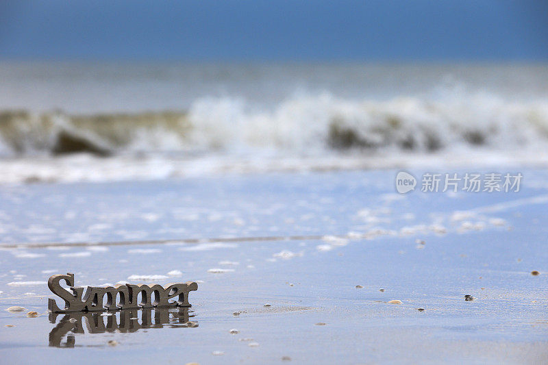 “夏天”这个词在沿海的树林里