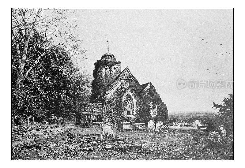 古董点印绘画照片:爬满常春藤的乡村教堂