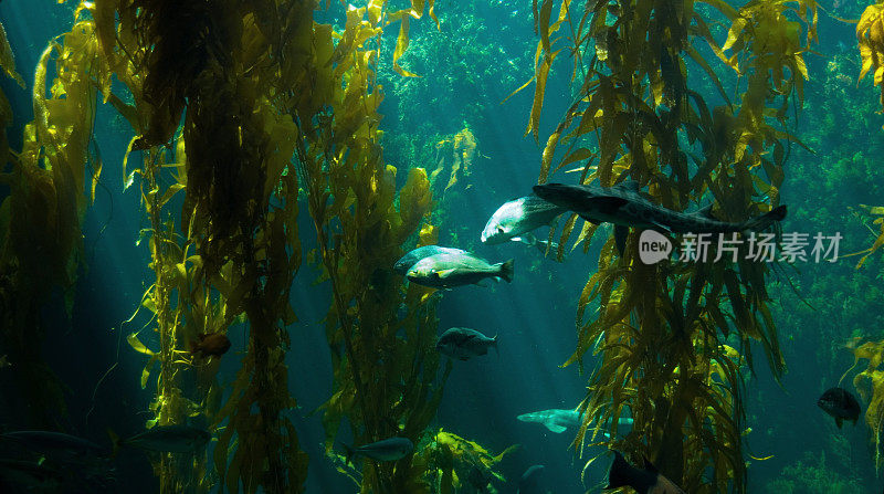 水族馆