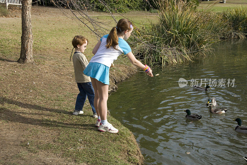 兄弟姐妹，孩子们在喂鸭子，一家人在湖边