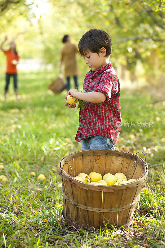 小男孩在和家人聚会时查看苹果