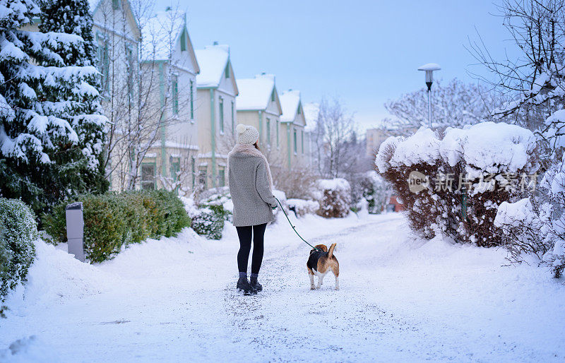 在冬天的街上遛狗的快乐女人