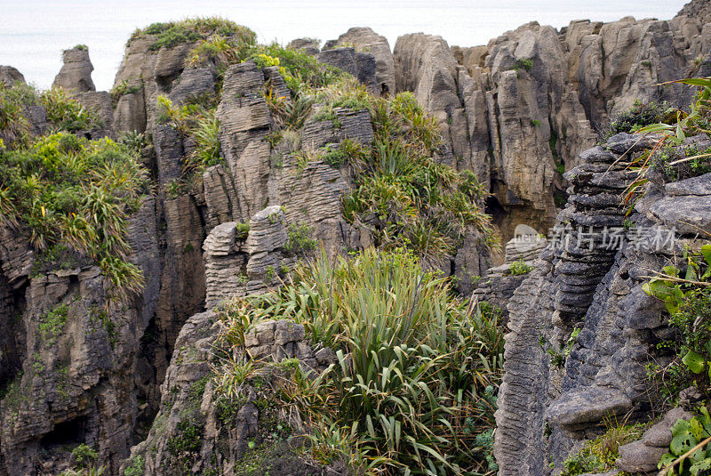 煎饼岩，Punakaiki，西海岸，新西兰