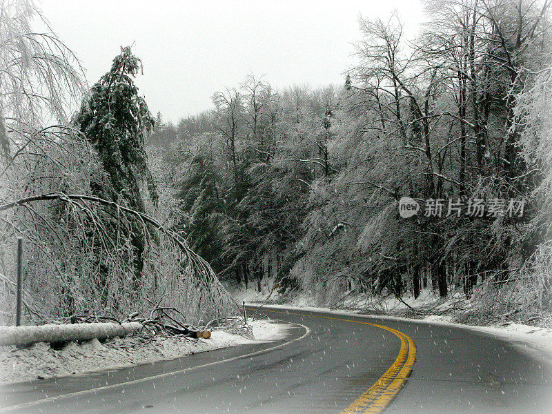 冰雪覆盖的树木和潮湿的道路