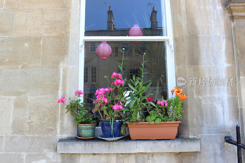 夏天窗台上有不同盆子的一年生花卉