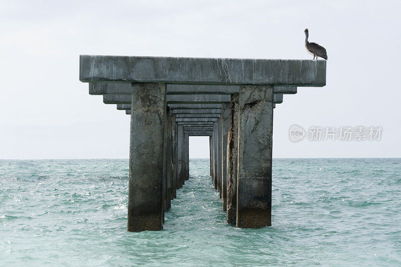 海洋风景