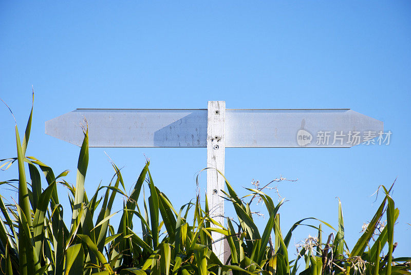 路标，新西兰亚麻(Harakeke)和天空