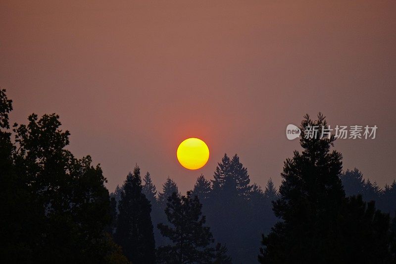 威拉米特河山谷里的太阳