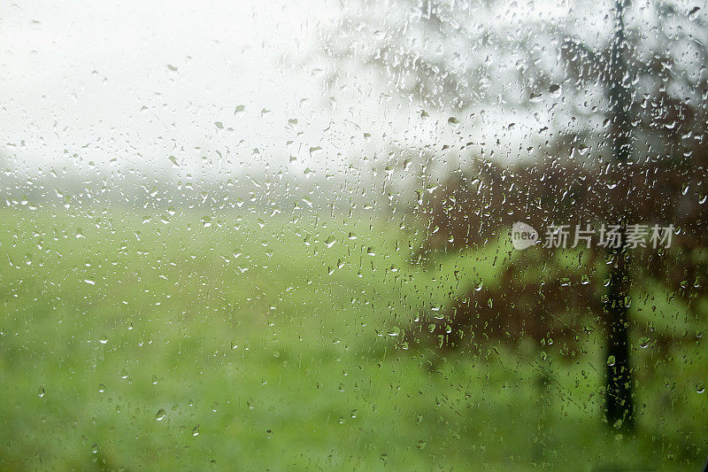 在雨天透过窗户花园。