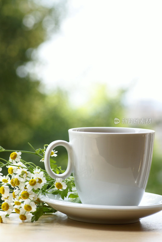 洋甘菊茶