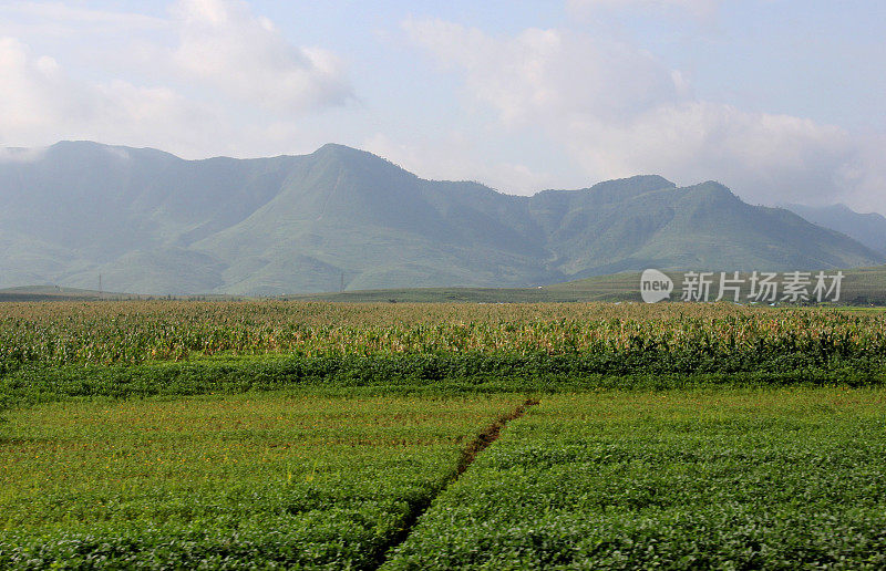 朝鲜:平壤和非军事区之间的农村