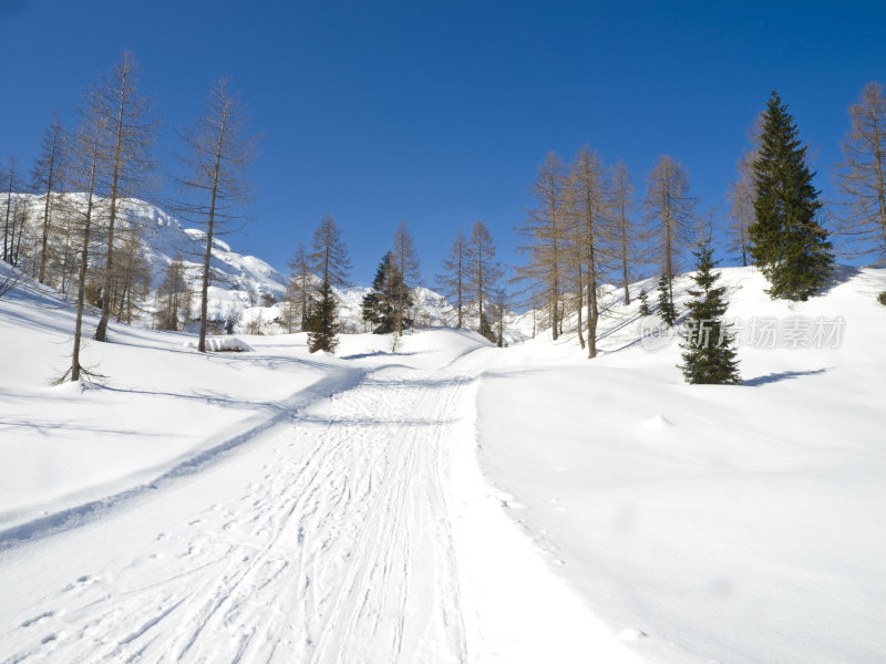 滑雪赛道