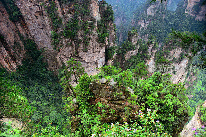 山峰，森林景观