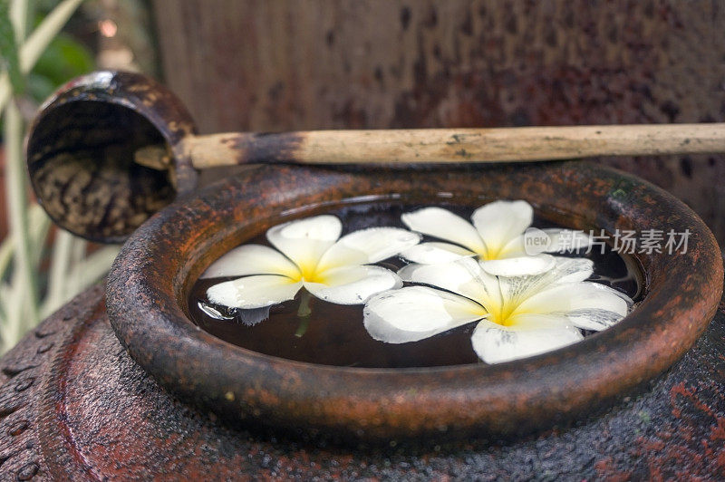 装水和花的陶罐