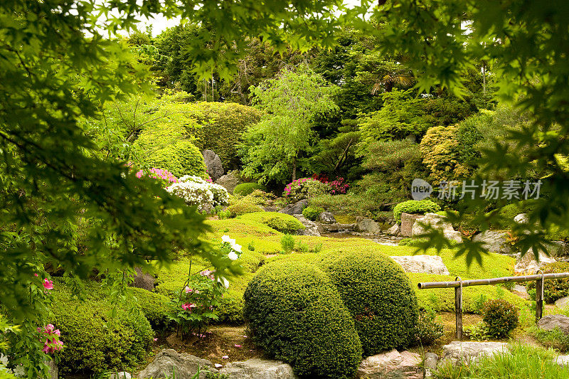 日式花园