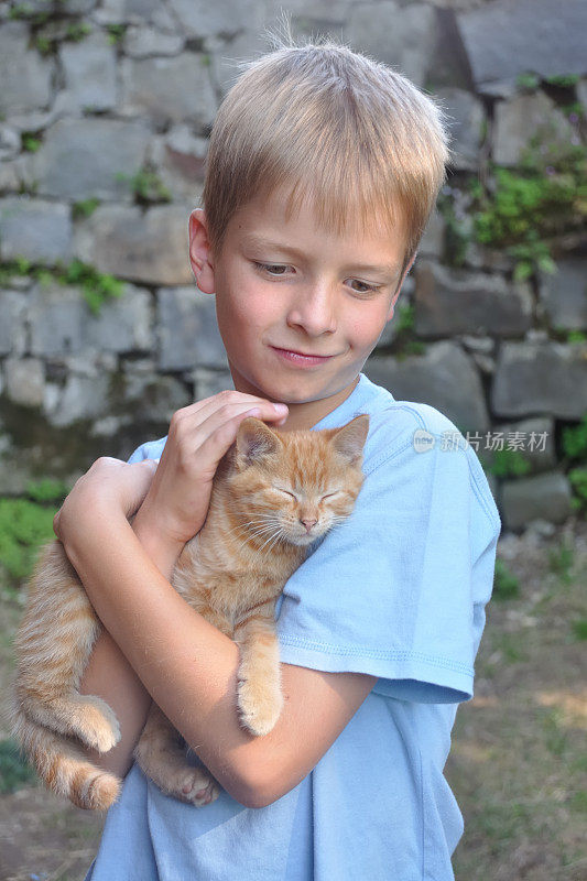 男孩的猫