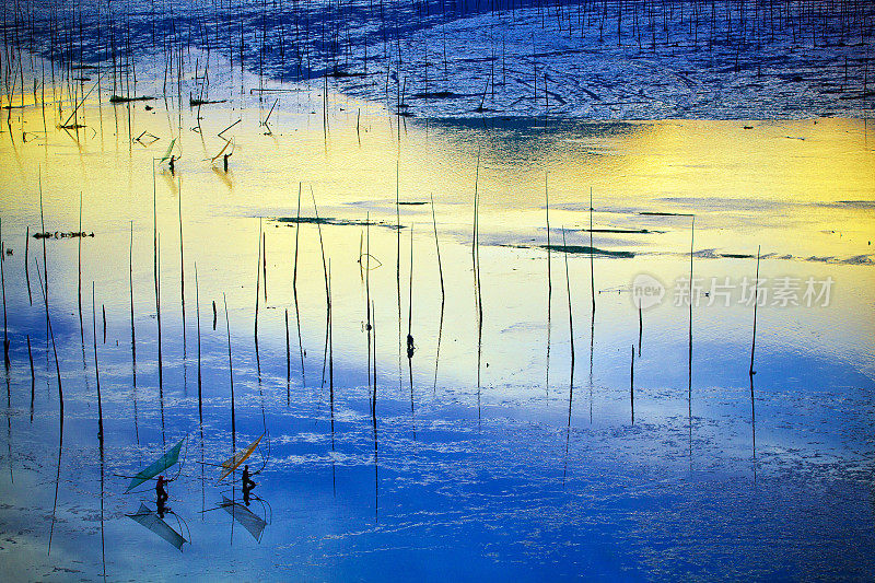 渔民在福建霞浦的泥滩上工作。