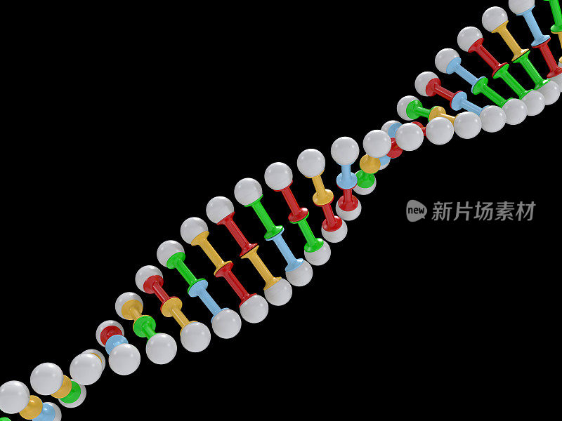 华氏DNA分子