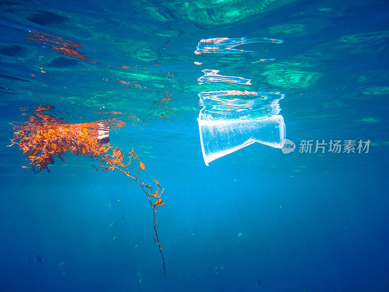 漂浮在海洋中的塑料