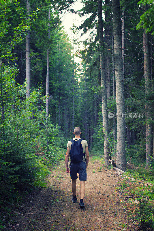 一个强壮的年轻人在夏天独自在森林里徒步旅行