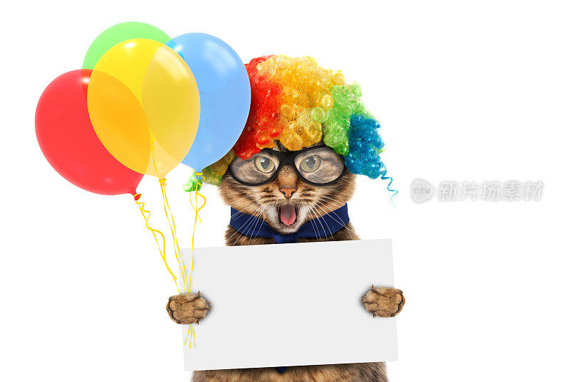 滑稽的猫穿着小丑的服装，拿着气球。白色标签的文本。