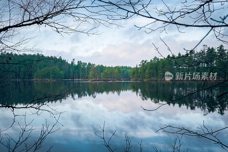 美丽的风景，宁静的湖泊和树枝在秋天的早晨