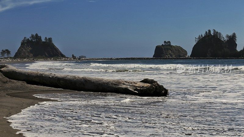 拉推海滩浮木原木，海滩，奥林匹克海岸，华盛顿