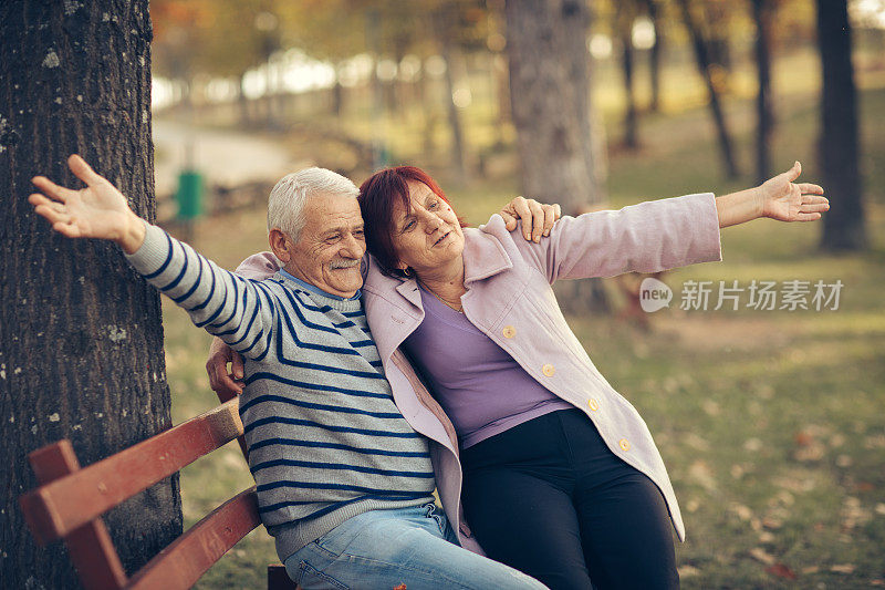 在阳光明媚的秋日，一对老年夫妇在大自然中