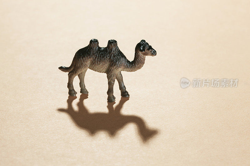 骆驼动物玩偶玩具