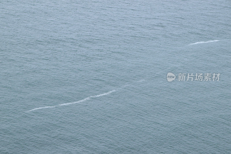 海和海泡沫