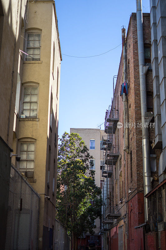 旧金山的唐人街