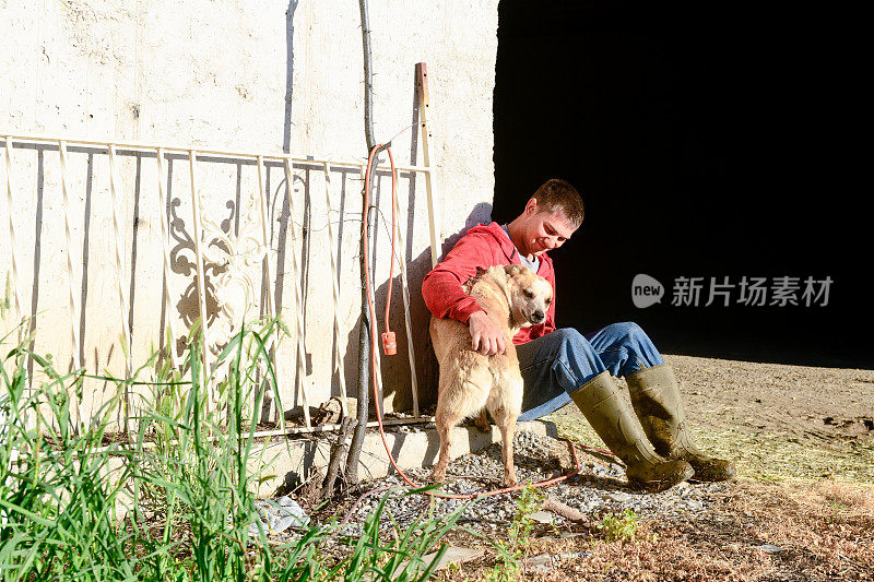 年轻的美国奶农和农场狗犹他州休息