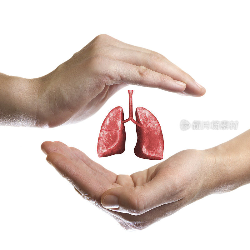 健康肺的概念。