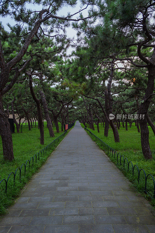 北京花园中铺着一条漂亮的砖路