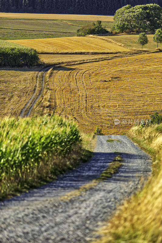 乡村景观中的乡村道路(HDRi)