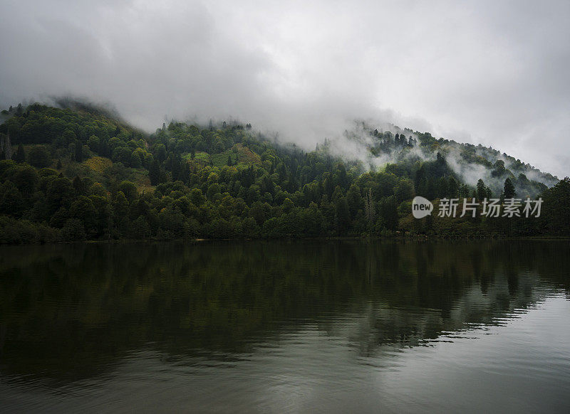 黎明时分湖面上的薄雾，树木和倒影