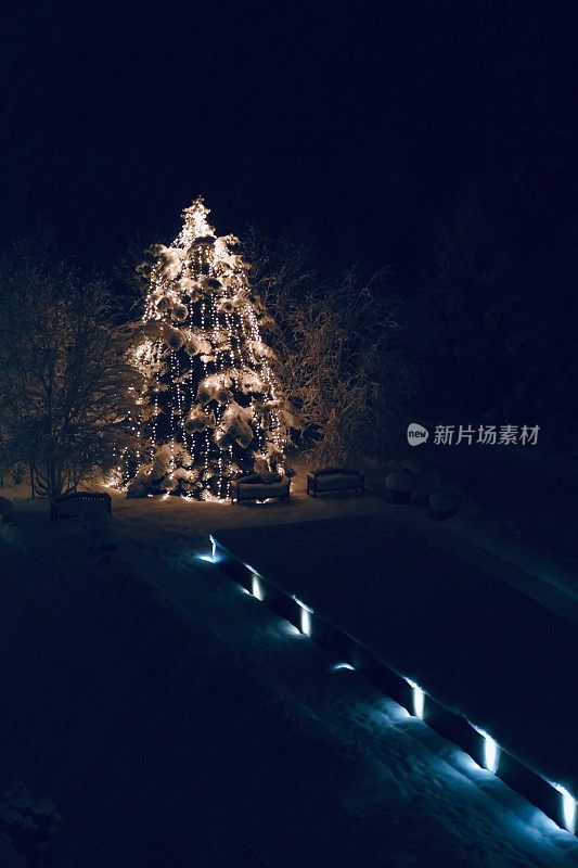 圣诞树在黑暗中