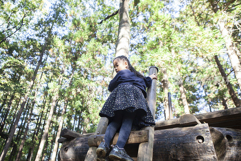 一个女孩正在爬公园树上的梯子。
