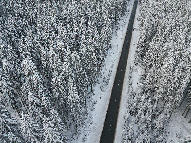 道路穿过冬天积雪覆盖的森林