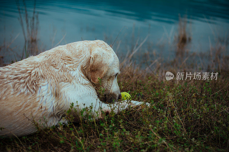 和你最好的朋友一起享受夏日