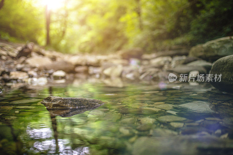 抽象的自然背景