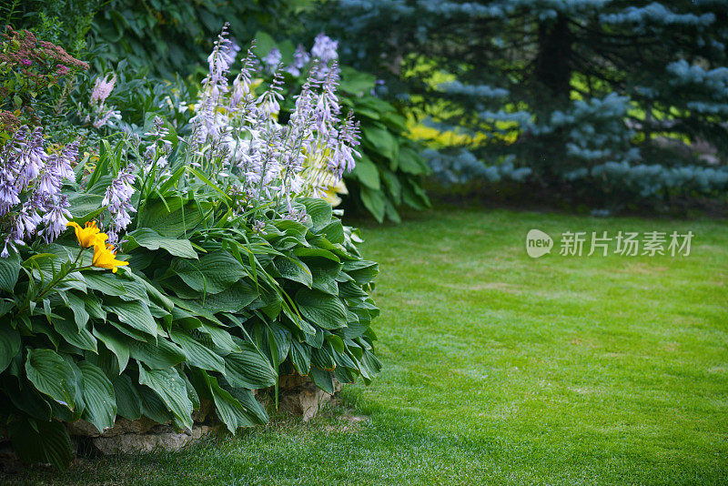 美丽的花园和绿色的草