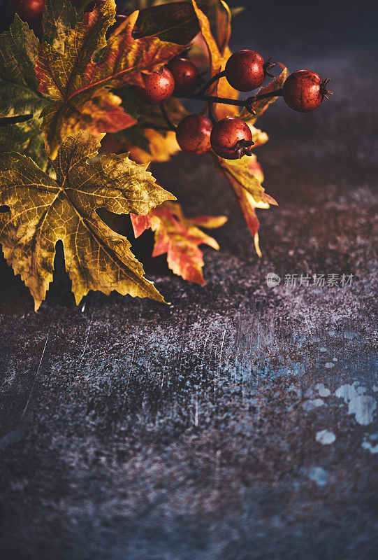 秋天的背景与树叶在灰色的表面