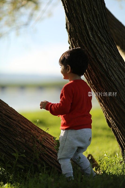 一个快乐的蹒跚学步的小男孩躲在树后，沐浴在春天的大自然中。