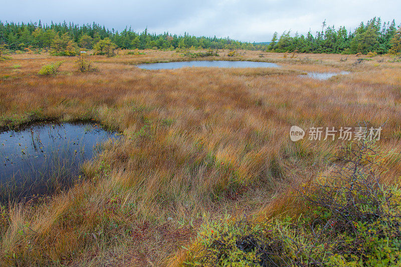 布雷顿角高地国家公园-加拿大新斯科舍省